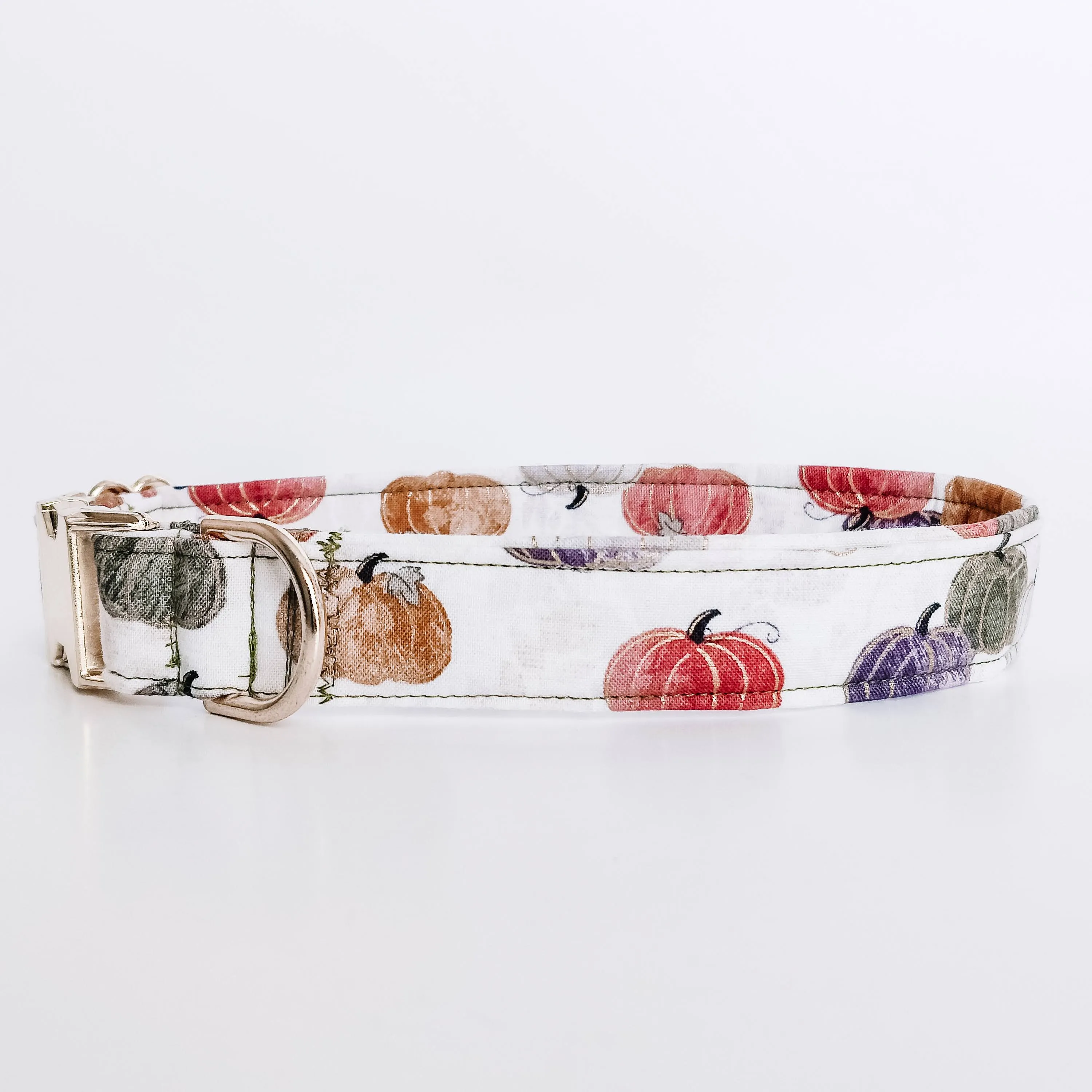 Glimmer Pumpkins Dog Collar/ Cat Collar